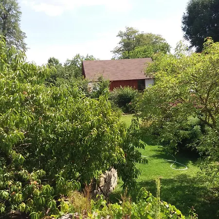 Villa Rydl *